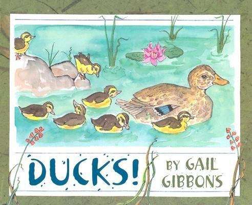 Book cover of Ducks!