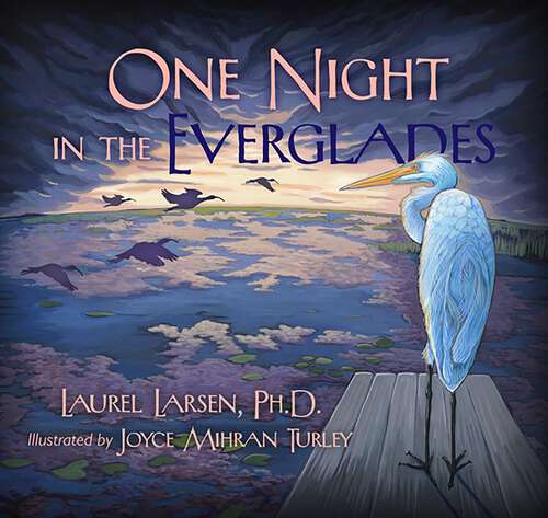 Book cover of One Night in the Everglades