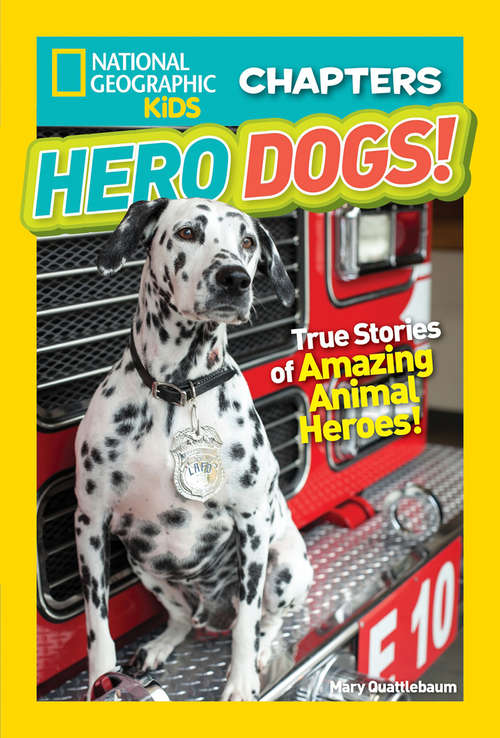 Book cover of Hero Dogs (National Geographic Kids Chapters)