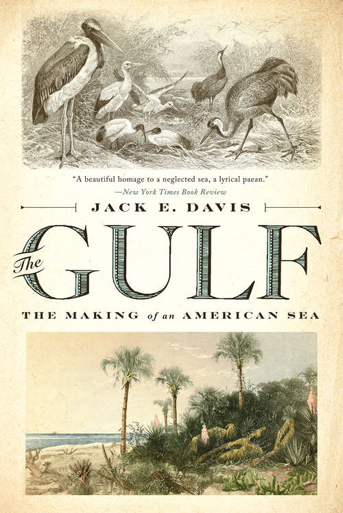 The Gulf: The Making of An American Sea