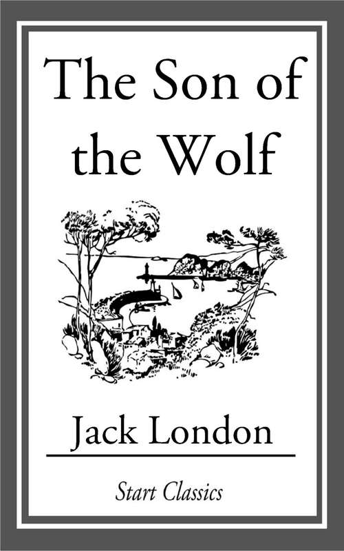 Book cover of The Son of the Wolf