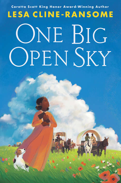 Book cover of One Big Open Sky