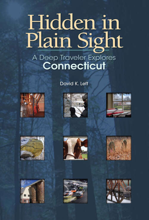 Book cover of Hidden in Plain Sight