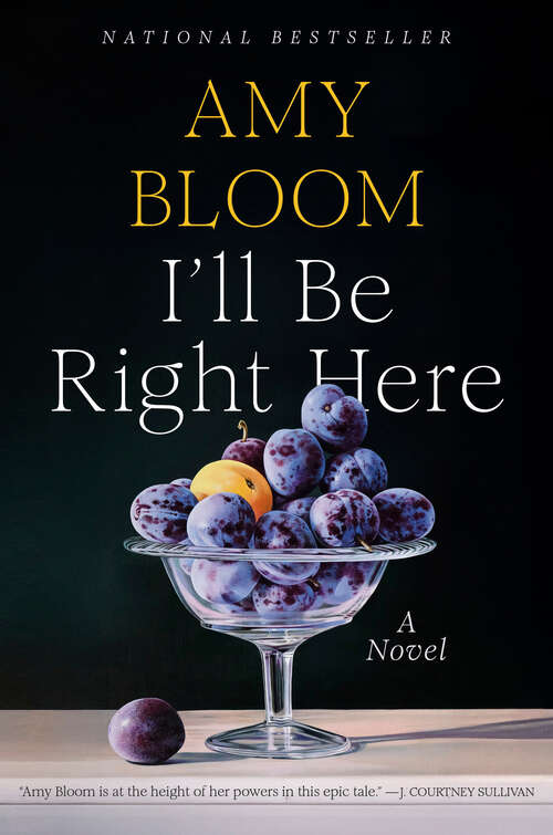 Book cover of I'll Be Right Here: A Novel