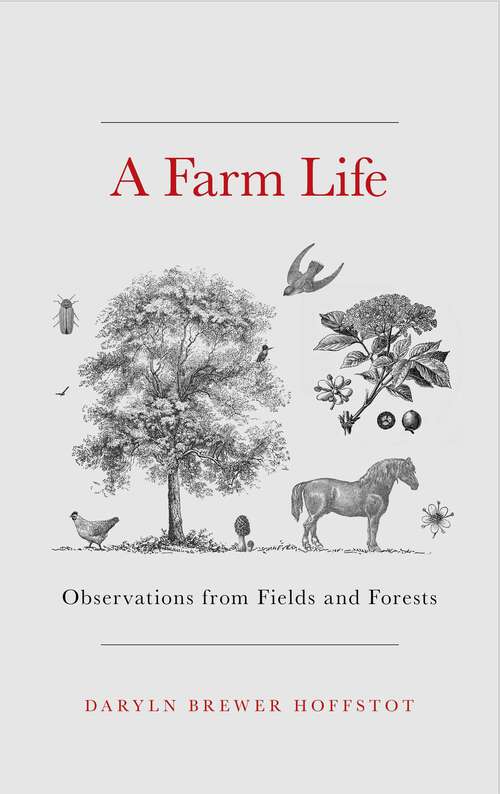 Book cover of Farm Life: Observations from Fields and Forests