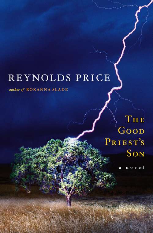 Book cover of The Good Priest's Son