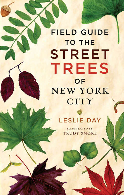 Book cover of Field Guide to Street Trees New York City