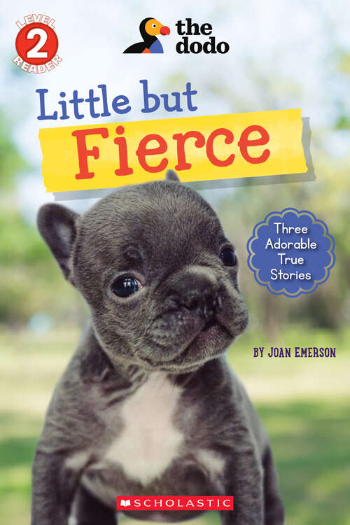 Book cover of Little But Fierce (The Dodo: Scholastic Reader, Level 2)