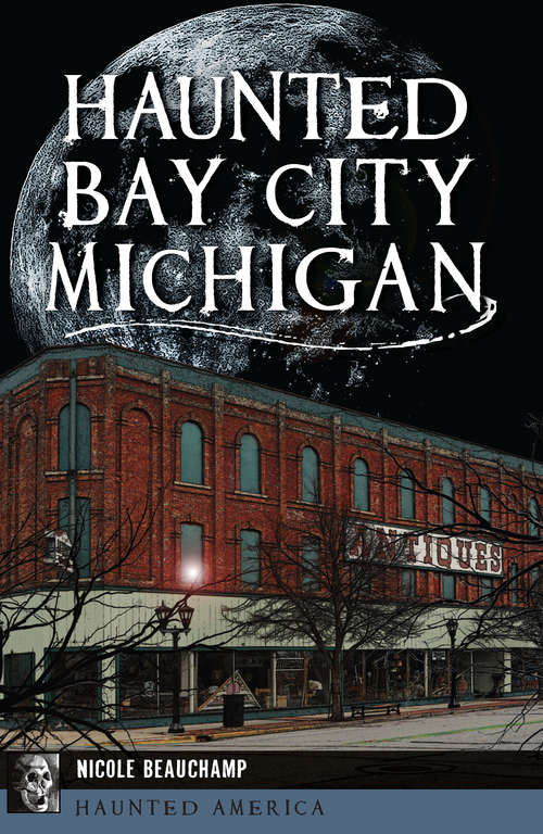 Book cover of Haunted Bay City, Michigan (Haunted America)