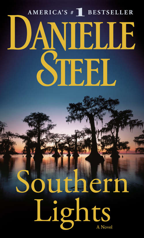 Book cover of Southern Lights