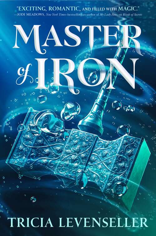 Book cover of Master of Iron (Bladesmith #2)