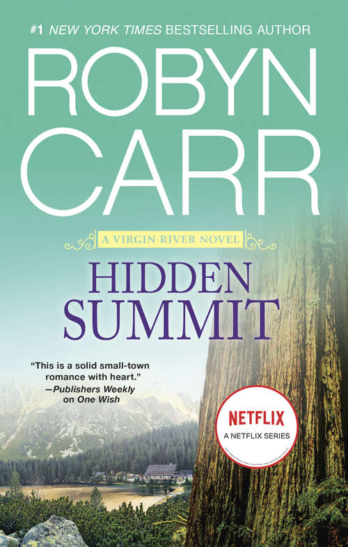 Book cover of Hidden Summit (A Virgin River Novel #17)
