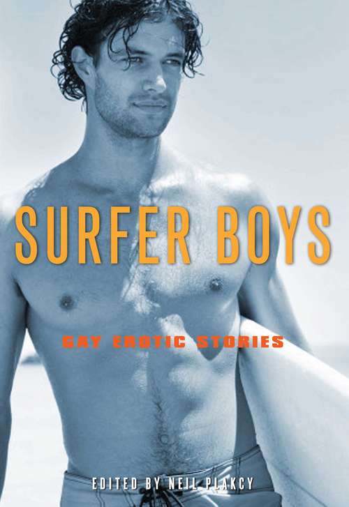 Book cover of Surfer Boys: Gay Erotic Stories