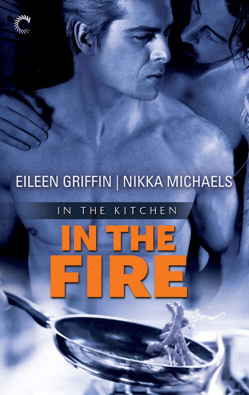 Book cover of In the Fire