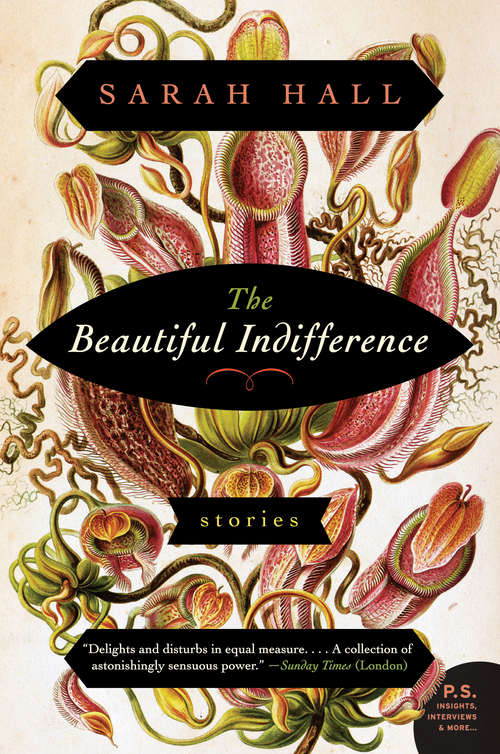 Book cover of The Beautiful Indifference
