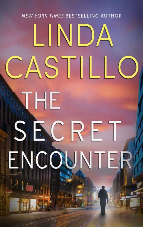 Book cover of The Secret Encounter (Family Secrets (Silhouette) #2)