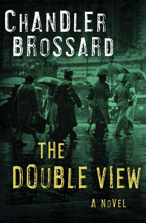 Book cover of The Double View