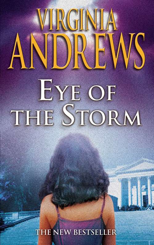 Book cover of Eye of the Storm (Hudson Family #3)