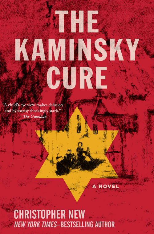 Book cover of The Kaminsky Cure: A Novel