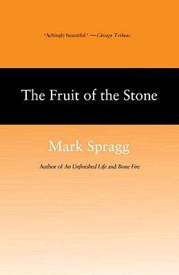 Book cover of The Fruit of Stone