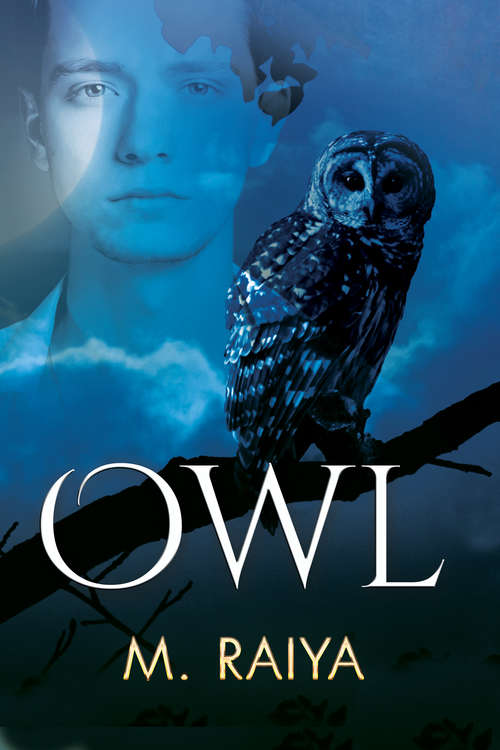 Book cover of Owl
