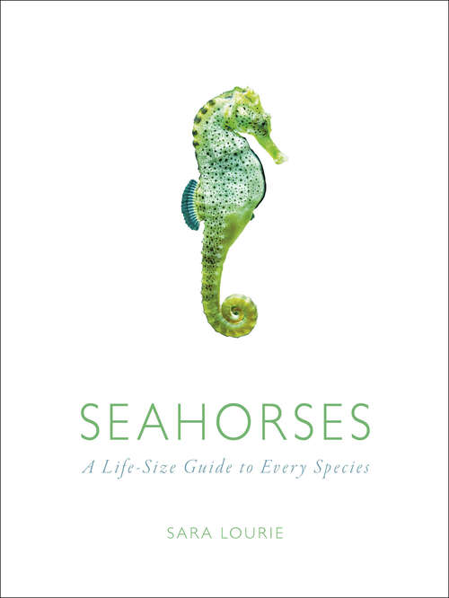 Book cover of Seahorses: A Life-Size Guide to Every Species