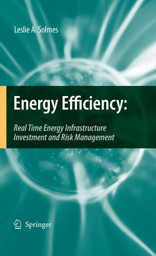 Book cover of Energy Efficiency: Real Time Energy Infrastructure Investment and Risk Management
