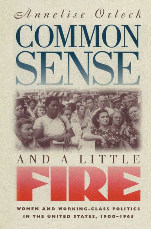 Book cover of Common Sense and a Little Fire