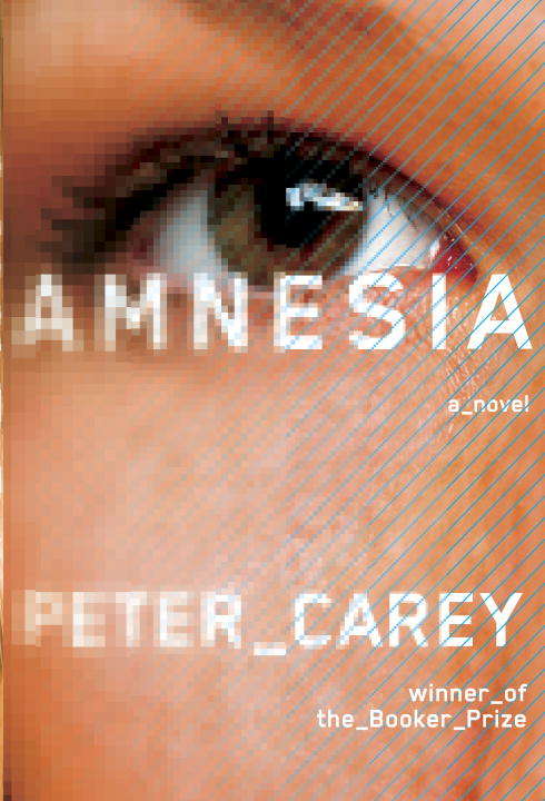 Book cover of Amnesia