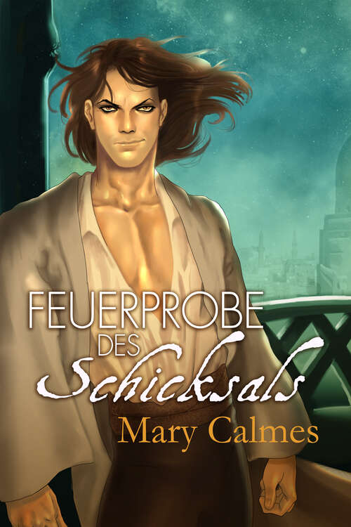 Book cover of Feuerprobe des Schicksals (Wandel des Herzens)