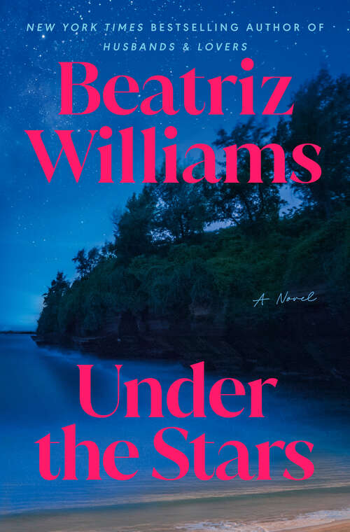 Book cover of Under the Stars: A Novel