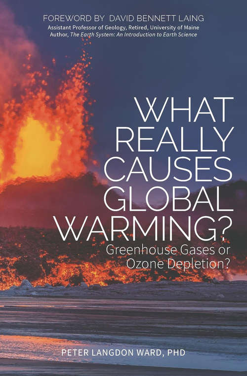 Book cover of What Really Causes Global Warming?: Greenhouse Gases or Ozone Depletion?