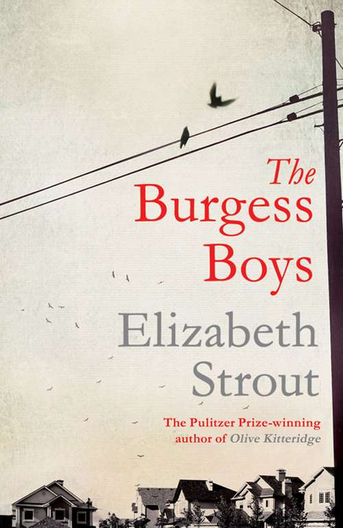 Book cover of The Burgess Boys