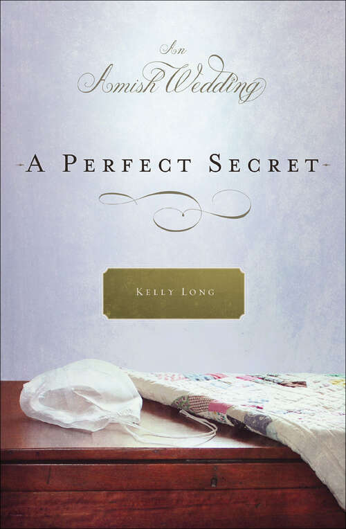 Book cover of A Perfect Secret