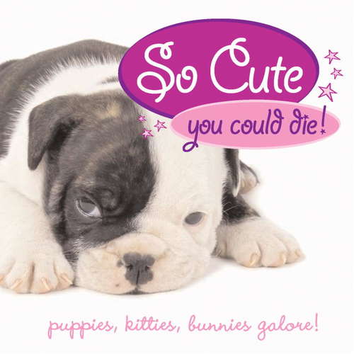 Book cover of So Cute You Could Die!: Puppies, Kittens, Bunnies Galore!
