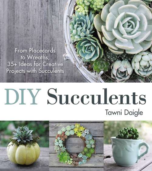 Book cover of DIY Succulents: From Placecards to Wreaths, 35+ Ideas for Creative Projects with Succulents