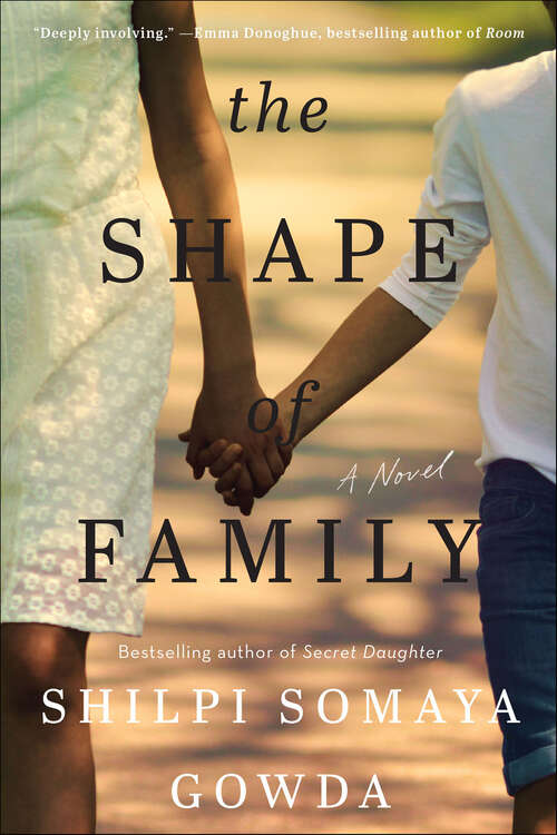 Book cover of The Shape of Family: A Novel