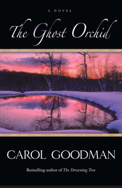 Book cover of The Ghost Orchid