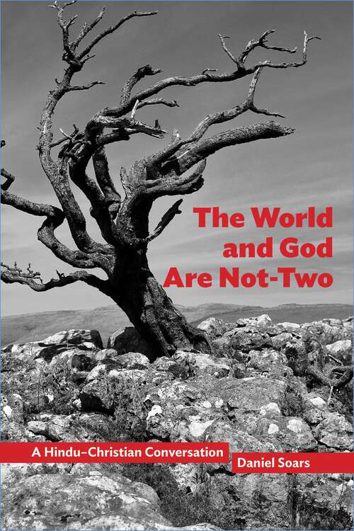 Book cover of The World and God Are Not-Two: A Hindu–Christian Conversation (1) (Comparative Theology: Thinking Across Traditions #10)
