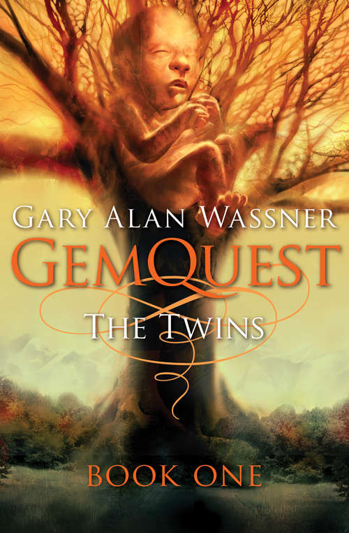 Book cover of The Twins
