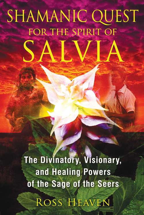 Shamanic Quest for the Spirit of Salvia: The Divinatory, Visionary, and Healing Powers of the Sage of the Seers
