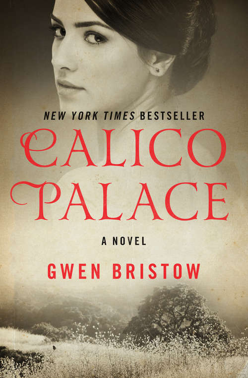 Book cover of Calico Palace: A Novel (Rediscovered Classics Ser.)