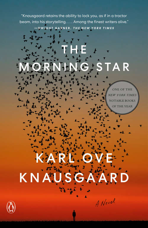 Book cover of The Morning Star: A Novel