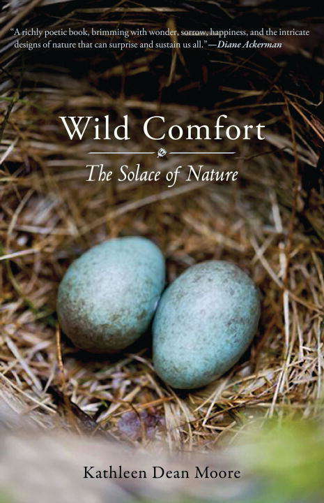 Book cover of Wild Comfort: The Solace of Nature