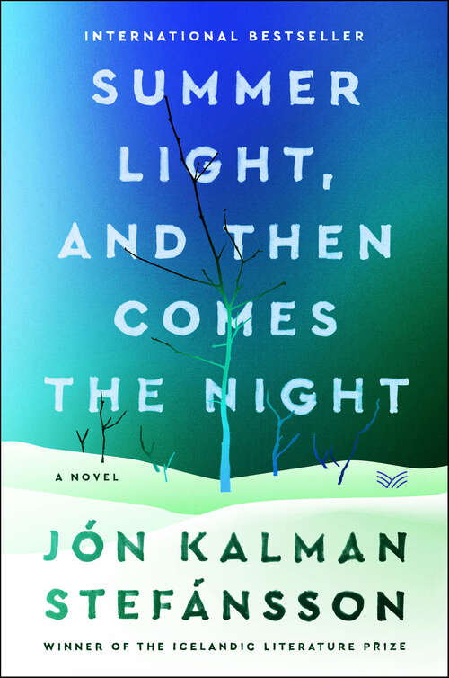 Book cover of Summer Light, and Then Comes the Night: A Novel