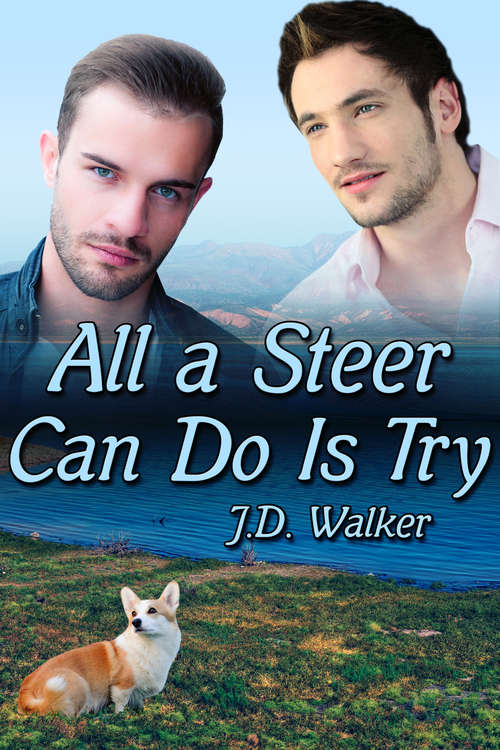 Book cover of All a Steer Can Do Is Try