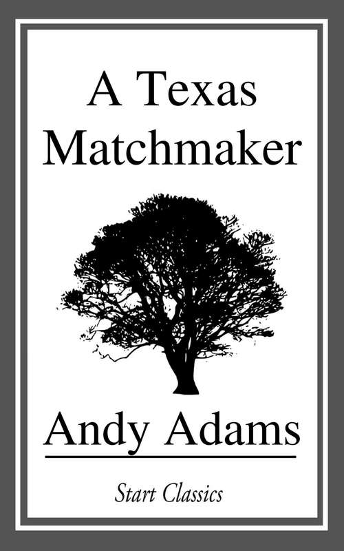 Book cover of A Texas Matchmaker