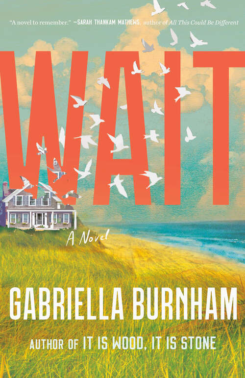 Book cover of Wait: A Novel