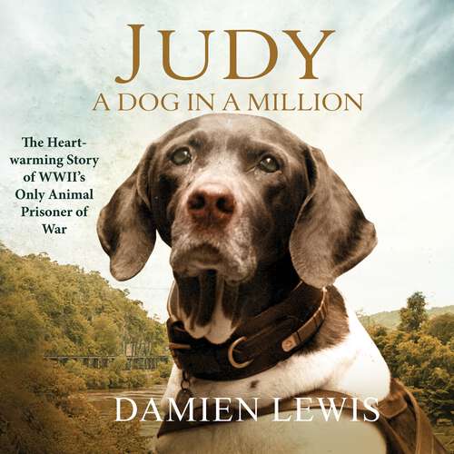 Book cover of Judy: From Runaway Puppy to the World's Most Heroic Dog
