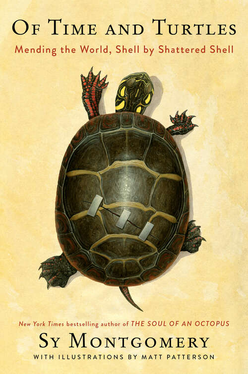Book cover of Of Time and Turtles: Mending the World, Shell by Shattered Shell